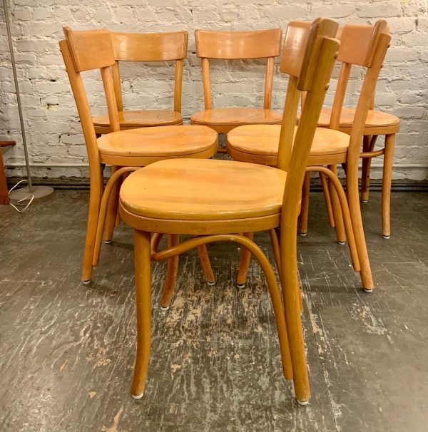 Curly Maple Bentwood Chairs by Thonet from the 1960s