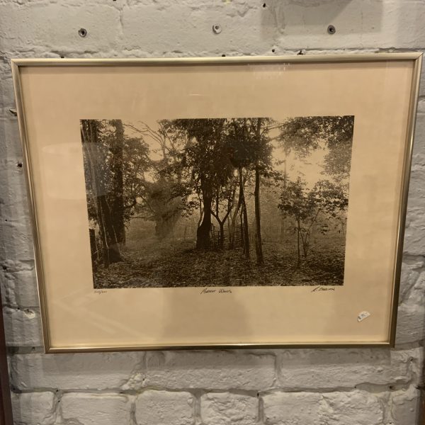 Framed Lithograph "Bright Woods" by R. Ehrlich