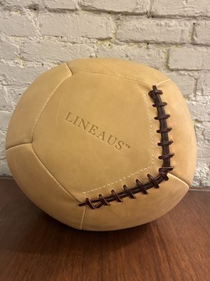 Lineaus 10 Pound Medicine Ball
